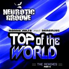 Top of the World (feat. Deremius) [Allan Natal Remix] Song Lyrics