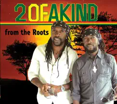 From the Roots by 2 of a Kind album reviews, ratings, credits