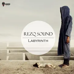 Labyrinth - Single by RezQ Sound album reviews, ratings, credits