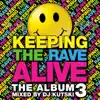 Keeping the Rave Alive: The Album Vol. 3 album lyrics, reviews, download