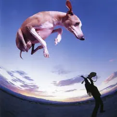 Flying Dog by Paul Gilbert album reviews, ratings, credits