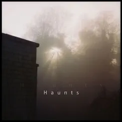 Haunts - Single by The Orchid Family album reviews, ratings, credits