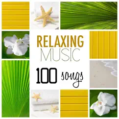 Best Relaxing Ambient Music Song Lyrics