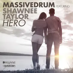 Hero (feat. Shawnee Taylor) [Extended Mix] Song Lyrics