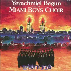שבת ירושלים by Yerachmiel Begun & The Miami Boys Choir album reviews, ratings, credits