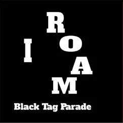 I Roam - Single by Black Tag Parade album reviews, ratings, credits