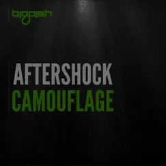 Camouflage - Single by Aftershock album reviews, ratings, credits