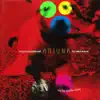 Arjuna Into The Another World album lyrics, reviews, download