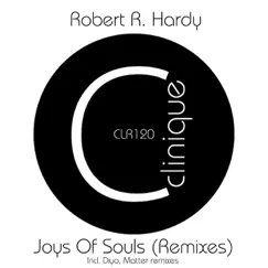 Joys of Soul (Matter Remix) Song Lyrics