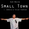 Small Town (feat. Demrick & Taylor Thompson) - Single album lyrics, reviews, download