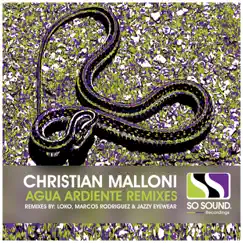 Agua Ardiente Remixes - Single by Christian Malloni album reviews, ratings, credits