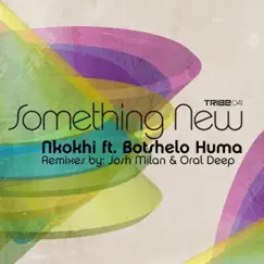 Something New (feat. Botshelo Huma) by Nkokhi album reviews, ratings, credits