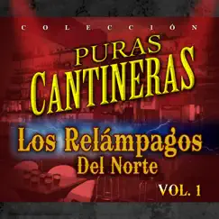 Puras Cantineras, Vol. 1 by Los Relámpagos del Norte album reviews, ratings, credits