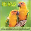 Bird Songs: Birds of Amazon Rainforest, North American Forest Sounds, Loon Calls & Other Bird Sounds for Birds album lyrics, reviews, download