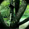 Treepod Toccatina - Single album lyrics, reviews, download