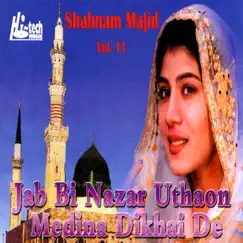 Jab Bi Nazar Uthaon Medina Dikhai De Vol. 11 - Islamic Naats by Shabnam Majid album reviews, ratings, credits