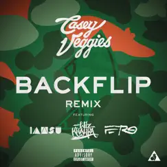 Backflip (feat. Wiz Khalifa, A$AP Ferg & Iamsu!) [Remix] - Single by Casey Veggies album reviews, ratings, credits