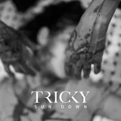 Sun Down - Single by Tricky album reviews, ratings, credits