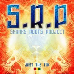 Just the Tip by Skanks Roots Project album reviews, ratings, credits