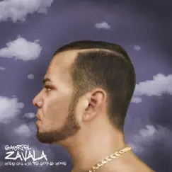 Hold On, We're Going Home (Zavalamusic Remix) - Single by Gabriel Zavala album reviews, ratings, credits