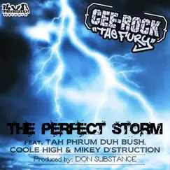 The Perfect Storm (feat. Tah Phrum Duh Bush, Coole High & Mikey D'Struction) Song Lyrics