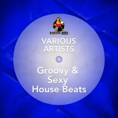 Groovy & Sexy House Beats by Various Artists album reviews, ratings, credits