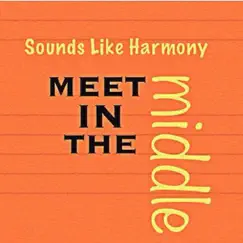 Meet In the Middle - Single by Sounds Like Harmony album reviews, ratings, credits