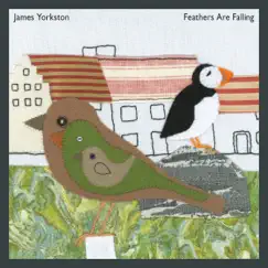 Feathers Are Falling - Single by James Yorkston album reviews, ratings, credits