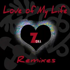 Love of My Life (George Vibe Remix) [feat. Wade C. Long] Song Lyrics