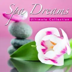 Spa Dreams – Ultimate Collection of Massage Music for Therapy and Wellness with Sounds of Nature by Spa Music Relaxation Meditation album reviews, ratings, credits