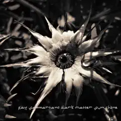Dark Matter Sunshine by Ray Sammartano album reviews, ratings, credits