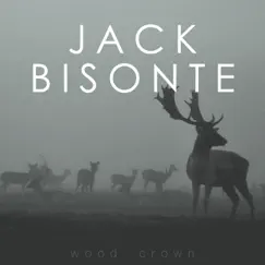 Wood Crown - EP by Jack Bisonte album reviews, ratings, credits