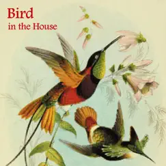 Bird in the House - Single by Paul Alan Hertel album reviews, ratings, credits