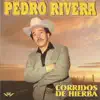 Corridos de Hierba album lyrics, reviews, download