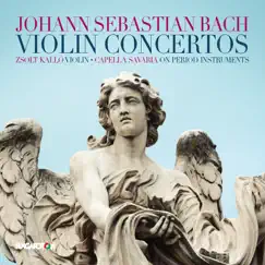 Violin Concerto in G Minor, BWV 1056R: I. (no tempo marking) Song Lyrics