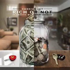 Rich or Not - Single by Snootie Wild & Cassius Jay album reviews, ratings, credits