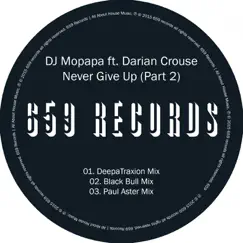 Never Give Up (Paul Aster Broken Safari Mix) [feat. Darian Crouse] Song Lyrics