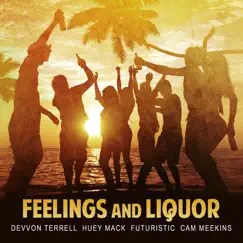 Feelings and Liquor Song Lyrics