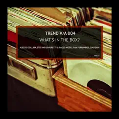 V/A 004 - What's in the box? - EP by Various Artists album reviews, ratings, credits