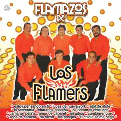 Flamazo De Los Flamers: Atol De Elote / Cumbiarengue / Sopa De Caracol / Camarón Pela'o / Los Hombres Chiquitos / La Secretaria / Las Parejas / Charanga Costeña / El Chicle Se Me Pegó Song Lyrics