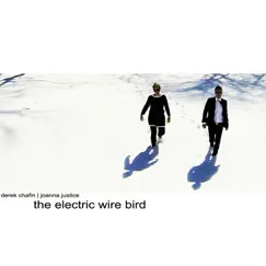 The Electric Wire Bird by Derek Chafin & Joanna Justice album reviews, ratings, credits