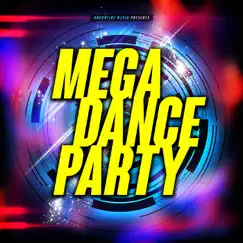 Bunga Bunga Party Rock (NeoTune! Edit) [feat. Miami Inc.] Song Lyrics