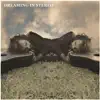 Dreaming in Stereo album lyrics, reviews, download