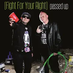 Fight for Your Right Song Lyrics