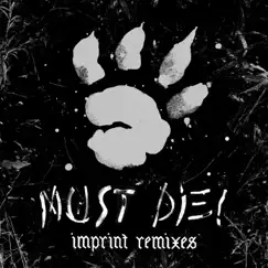 Imprint (Mark Instinct Remix) Song Lyrics