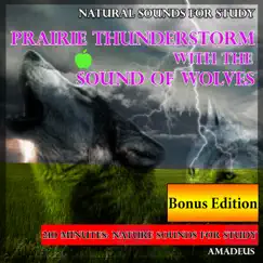 Natural Sounds for Study: Prairie Thunderstorm with the Sound of Wolves: Bonus Edition by Amadeus album reviews, ratings, credits