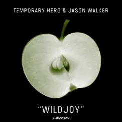 WILDJOY (Noel Sanger & Mikael Johnston Remix) Song Lyrics