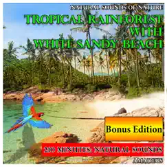 Natural Sounds of Nature: Tropical Rainforest with White Sandy Beach: Bonus Edition by Amadeus album reviews, ratings, credits