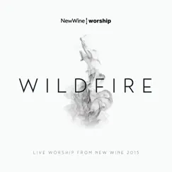 Wildfire (feat. Sam Bailey) [Live] Song Lyrics
