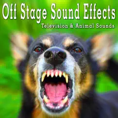 Off Stage Sound Effects: Television & Animal Sounds by The Hollywood Edge Sound Effects Library album reviews, ratings, credits